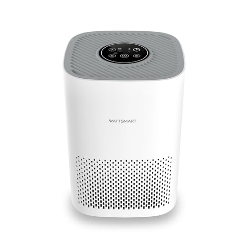 Purificador de aire para el hogar, filtro HEPA H13 para pelo