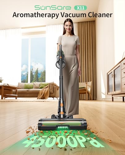 Aspiradora inalámbrica, aspiradoras de 550 W/45 Kpa para el