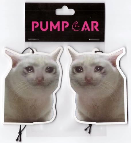 PumpCar 2 piezas de doble cara triste gatito colgante de gat