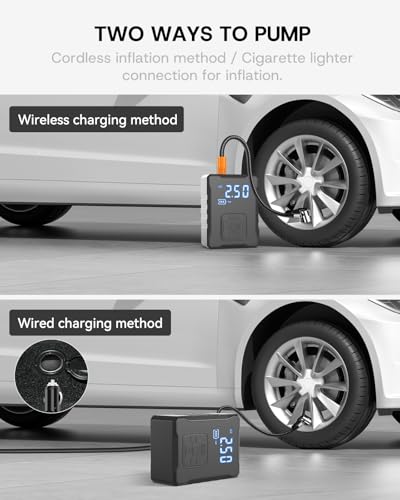 Almohadillas de gato actualizadas 2025 para Tesla Model 3/Y