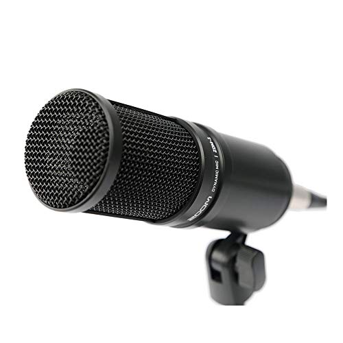 Zoom 2 micrófonos dinámicos ZDM-1 + 2 brazos de brazo de dif