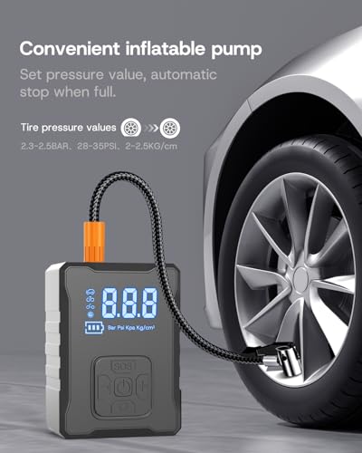 Almohadillas de gato actualizadas 2025 para Tesla Model 3/Y