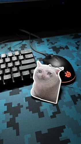 PumpCar 2 piezas de doble cara triste gatito colgante de gat