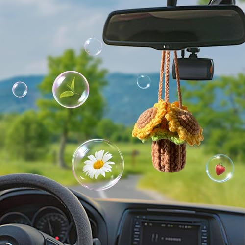 Ambientador de coche de ganchillo botella difusora vacía rec