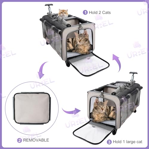 Transportador de gatos con ruedas de doble compartimento par