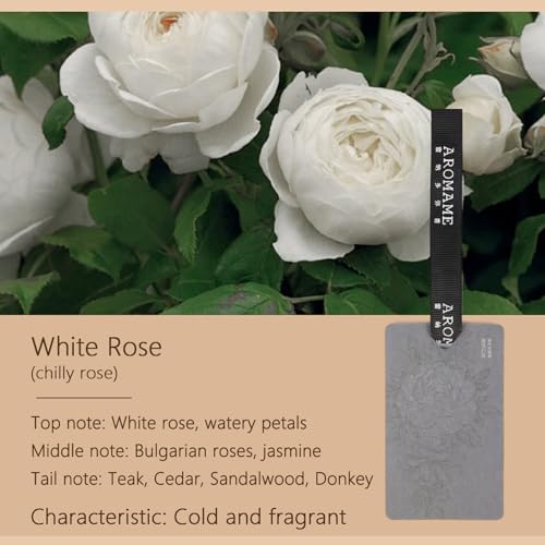 Ambientador clásico floral para automóvil, diseño colgante r
