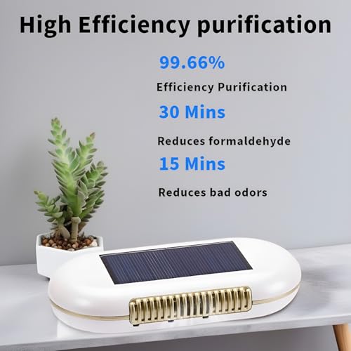 Purificador de aire de automóvil alimentado por energía sola