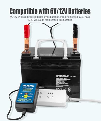 Cargador de batería inteligente totalmente automático de 1 a