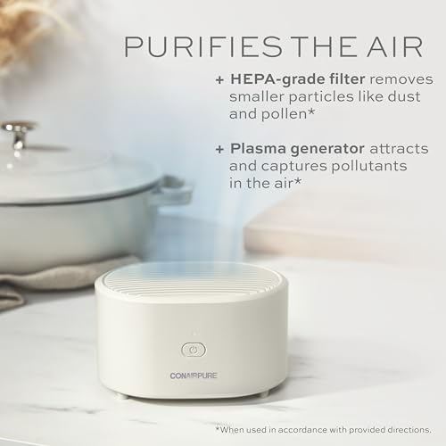 Conair Purificador de aire pequeño portátil, recargable, sin