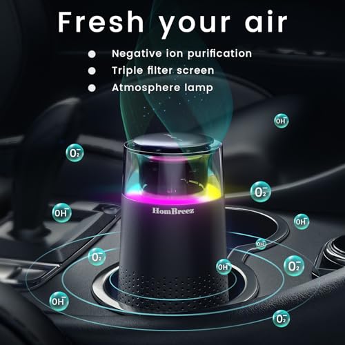 Purificador de aire de automóvil, purificador de aire portát