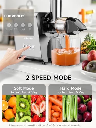Máquina exprimidora lenta para verduras y frutas, extractor