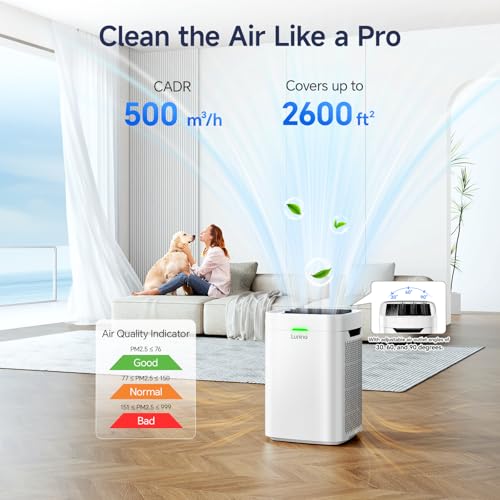 Purificadores de aire para el hogar, habitación grande de ha