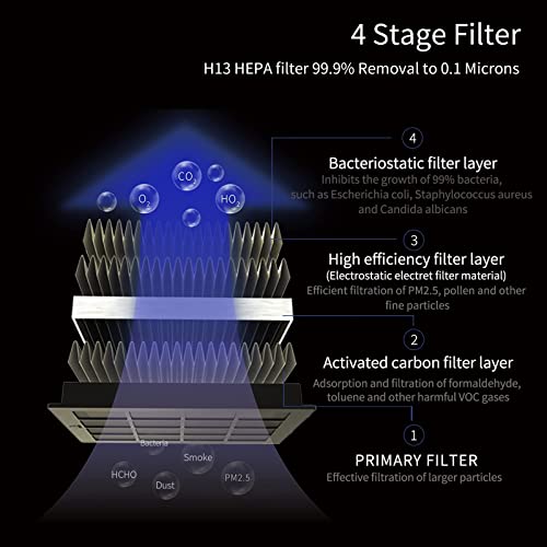 Purificador de aire para automóvil con filtro HEPA verdadero