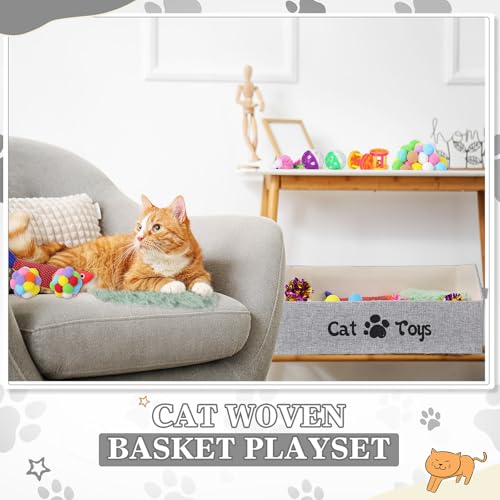 Zopeal Caja de juguetes para gatos de interior, 55 unidades,