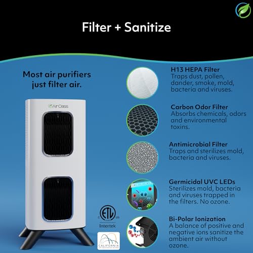 iAdaptAir 2.0 H13 - Filtro HEPA purificador de aire que redu