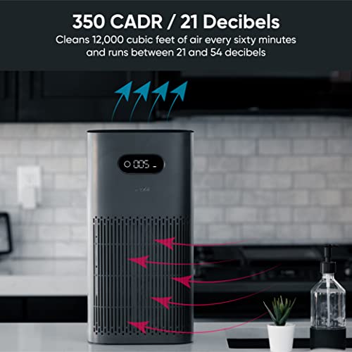 Wyze Purificador de aire con filtro de incendio forestal (es
