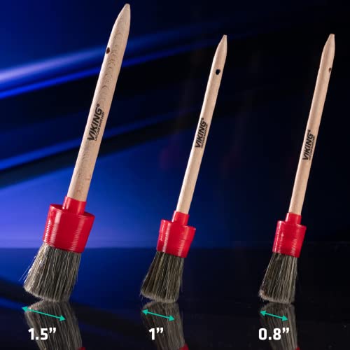 VIKING Juego de cepillos para detalles de automóvil, cerdas