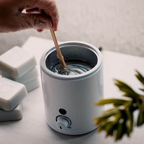 ZJchao Mini máquina caliente de cera para depilación, máquin