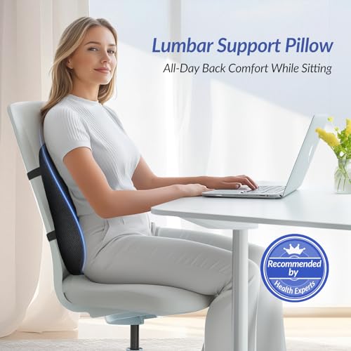 ZIKEE Almohada de apoyo lumbar para silla de oficina, soport
