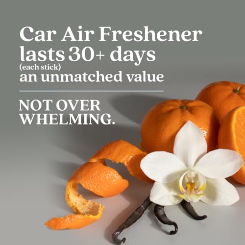 Enviroscent Ambientador de coche no tóxico (vainilla negra y