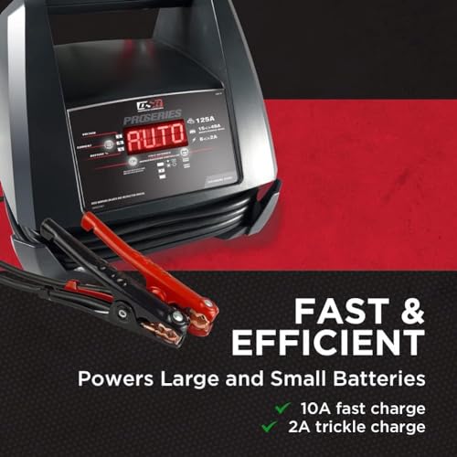 Schumacher Cargador de batería eléctrico DSR 118 ProSeries y