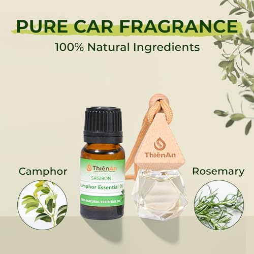 Juego de ambientadores para automóvil, fragancia colgante na
