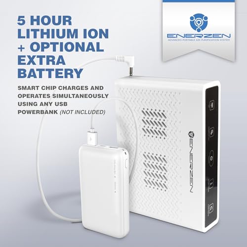 Enerzen O-222BA - Generador de ozono portátil 3 en 1 de 1,25