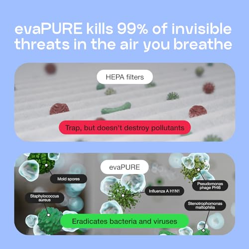 Evapolar Mini purificador de aire para escritorio, purificad