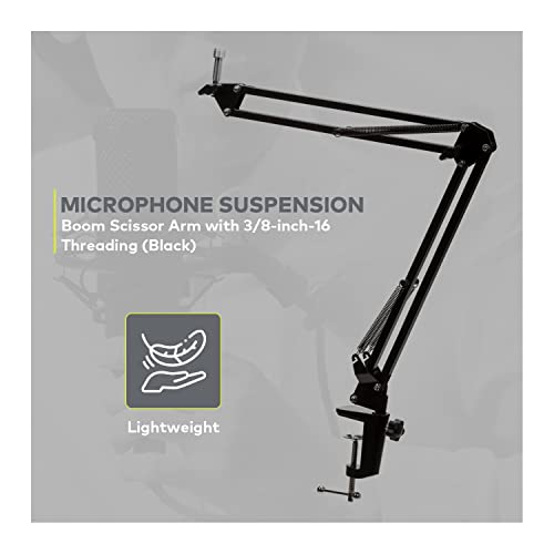 Audio-Technica Micrófono de estudio de condensador AT2020 co