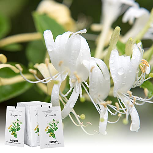 MYARO 12 paquetes de bolsas perfumadas de madreselva para ca