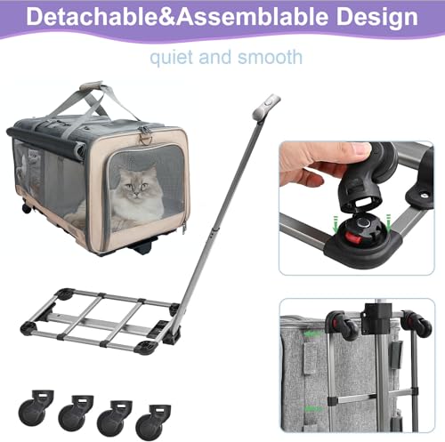 Transportador de gatos con ruedas de doble compartimento par