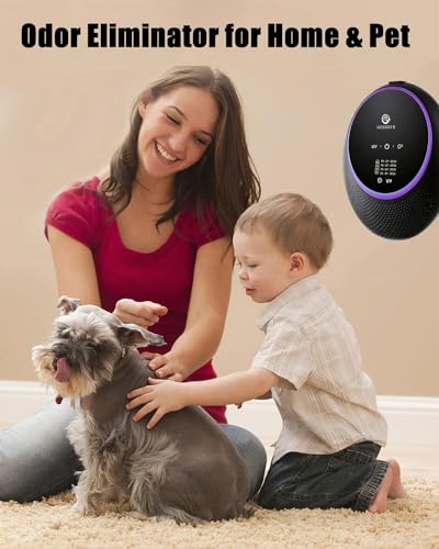 Máquina de ozono para eliminación de olores para el hogar y