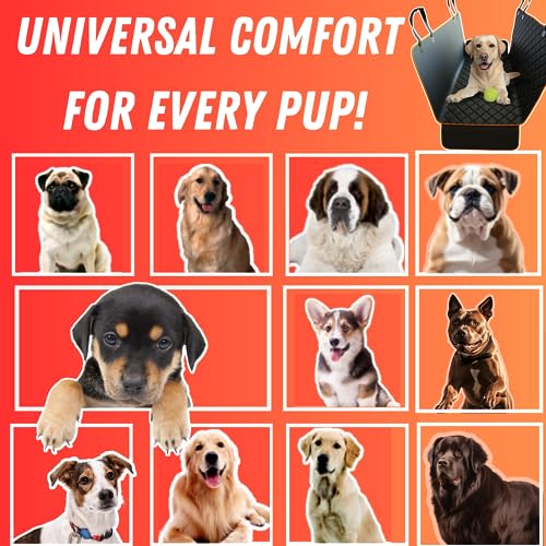 Doggie World Funda de asiento de automóvil para perros para
