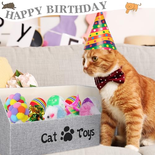 Zopeal Caja de juguetes para gatos de interior, 55 unidades,
