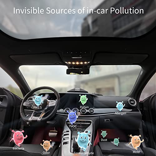 Purificador de aire para automóvil con filtro HEPA verdadero