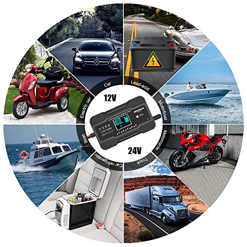 NEXPEAK Cargador de batería de coche de 10 amperios, 12 V y