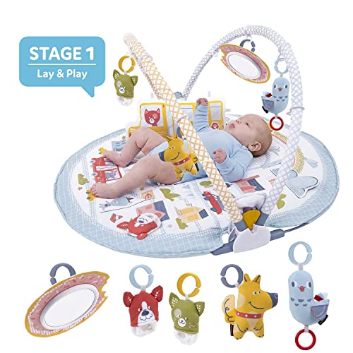 Yookidoo Baby Gym Urban Lay to Sit-Up Playmat. Centro de act
