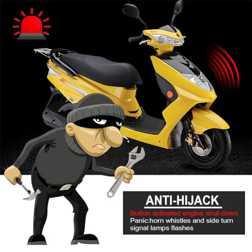 Garneck Sistema de entrada sin llave para coche, alarma anti