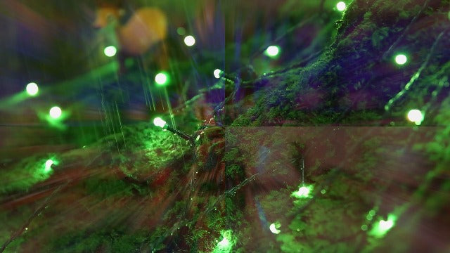 Joomer Luces de Navidad RGB que cambian de color, 33 pies, 1