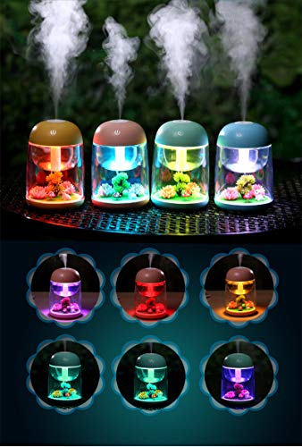 Humidificador micro paisaje con luz LED cambiante, modo de n