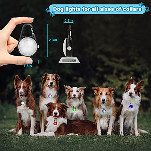 Luces de perro con 4 modos para caminar por la noche, luz im
