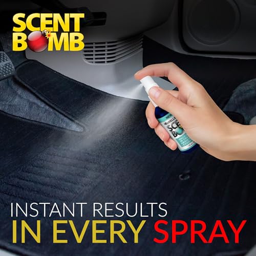 Ambientador de bomba de olor – 1 oz Spray 4 unidades paquete