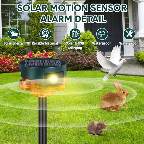 Qualirey Paquete de 2 sensores de movimiento solares para ex