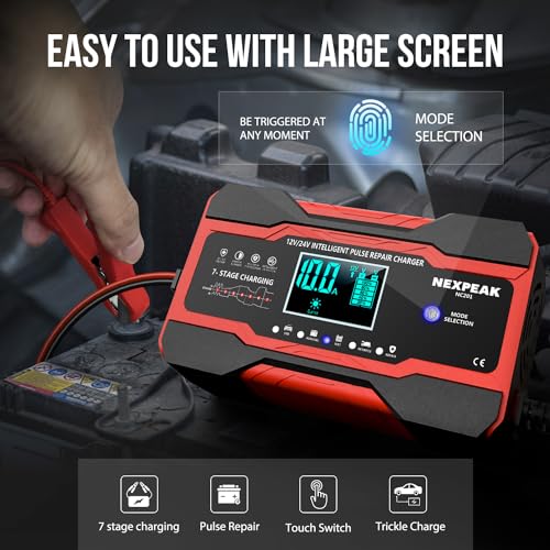NEXPEAK NC201 - Cargador de batería de 10 amperios, cargador