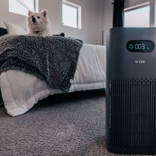 Wyze Purificador de aire con filtro de incendio forestal (es