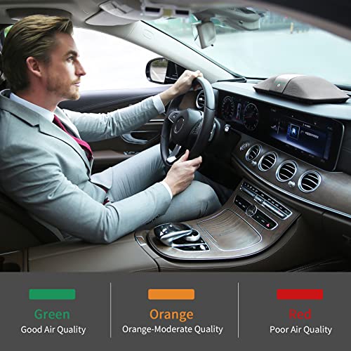Purificador de aire para automóvil con filtro HEPA verdadero