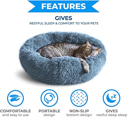Whiskers & Friends Cama para gatos, camas para gatos de inte