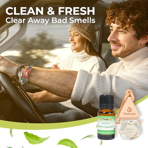 Juego de ambientadores para automóvil, fragancia colgante na