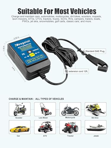 Cargador de batería inteligente totalmente automático de 1 a