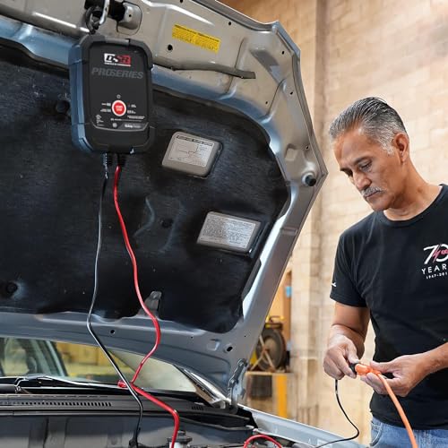 Schumacher DSR ProSeries - Cargador de batería de coche eléc